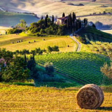 Viajes y rutas en SUV Toscana